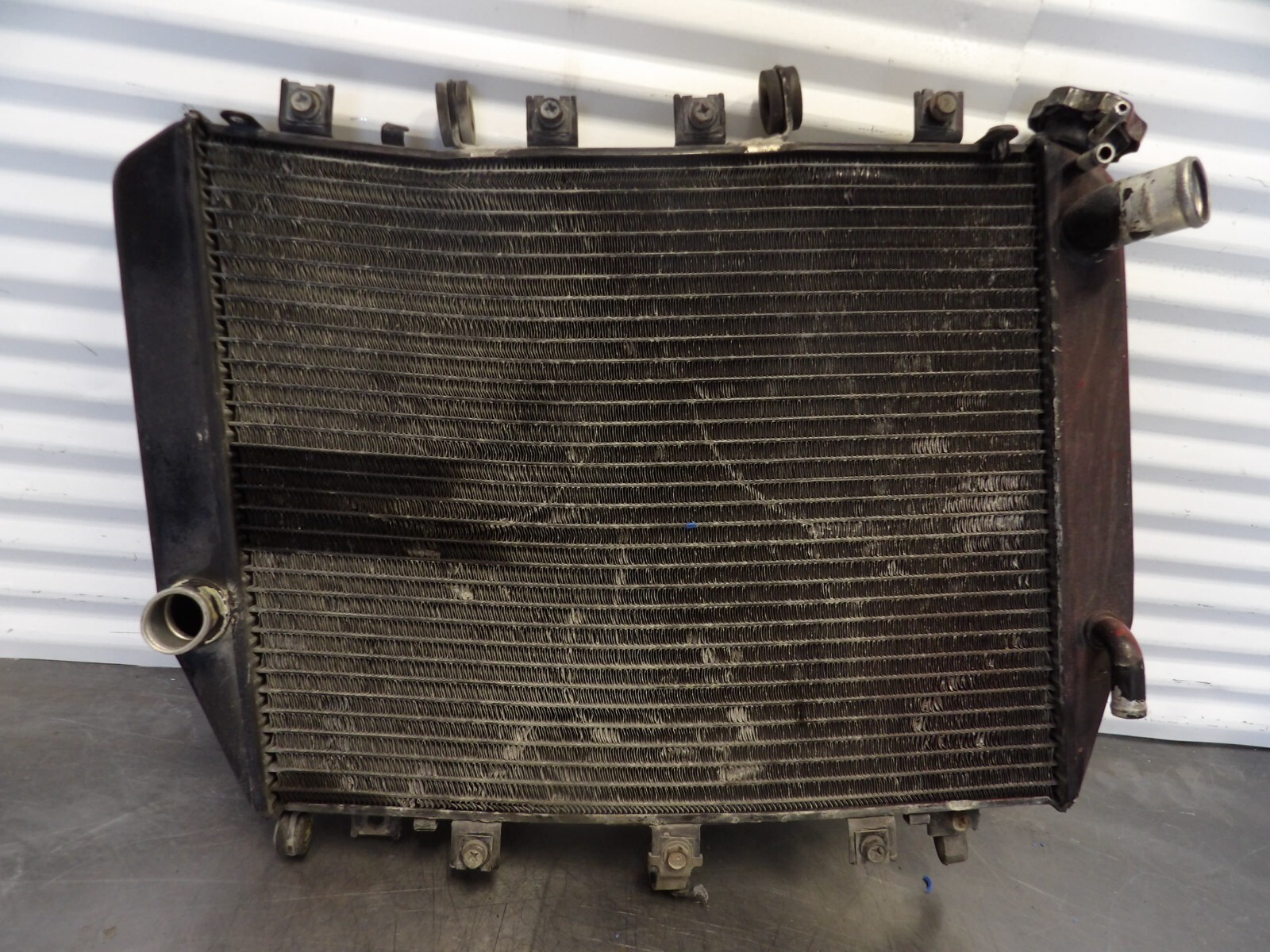 1995 96 97 KAWASAKI ZX600F ZX 600 F RADIATOR OEM 39061-1219