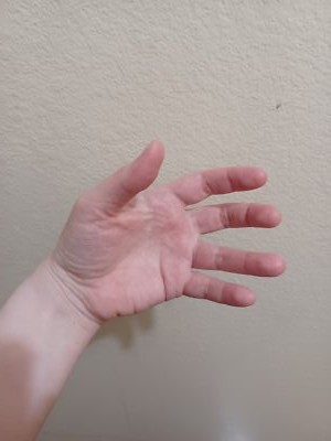 Fotos del artículo de un comprador verificado