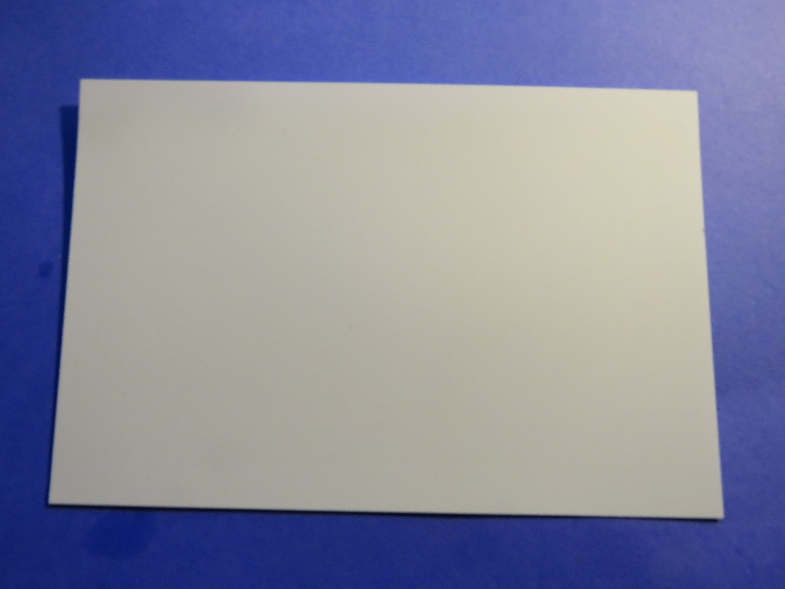 Natalie Woods Actress  Vintage 4X6 Photo reprint PH2436