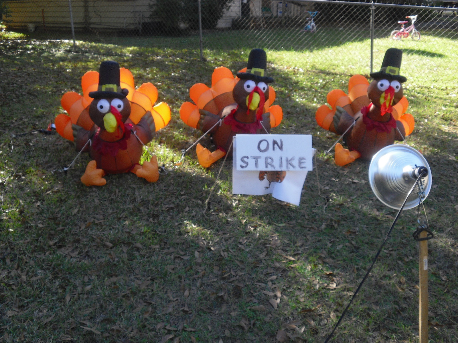 3' INFLATABLE THANKSGIVING TURKEY