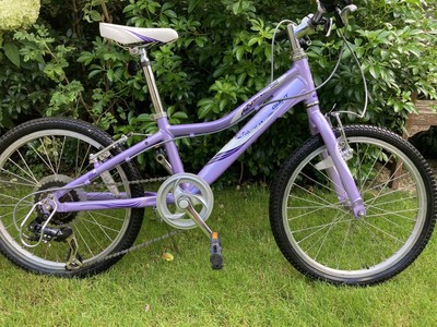 giant revel jr 20