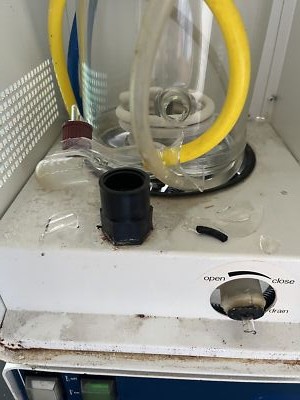 Foto dell'oggetto di un acquirente verificato