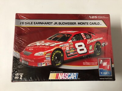 NASCAR #30 DALE EARNHARDT 超希少