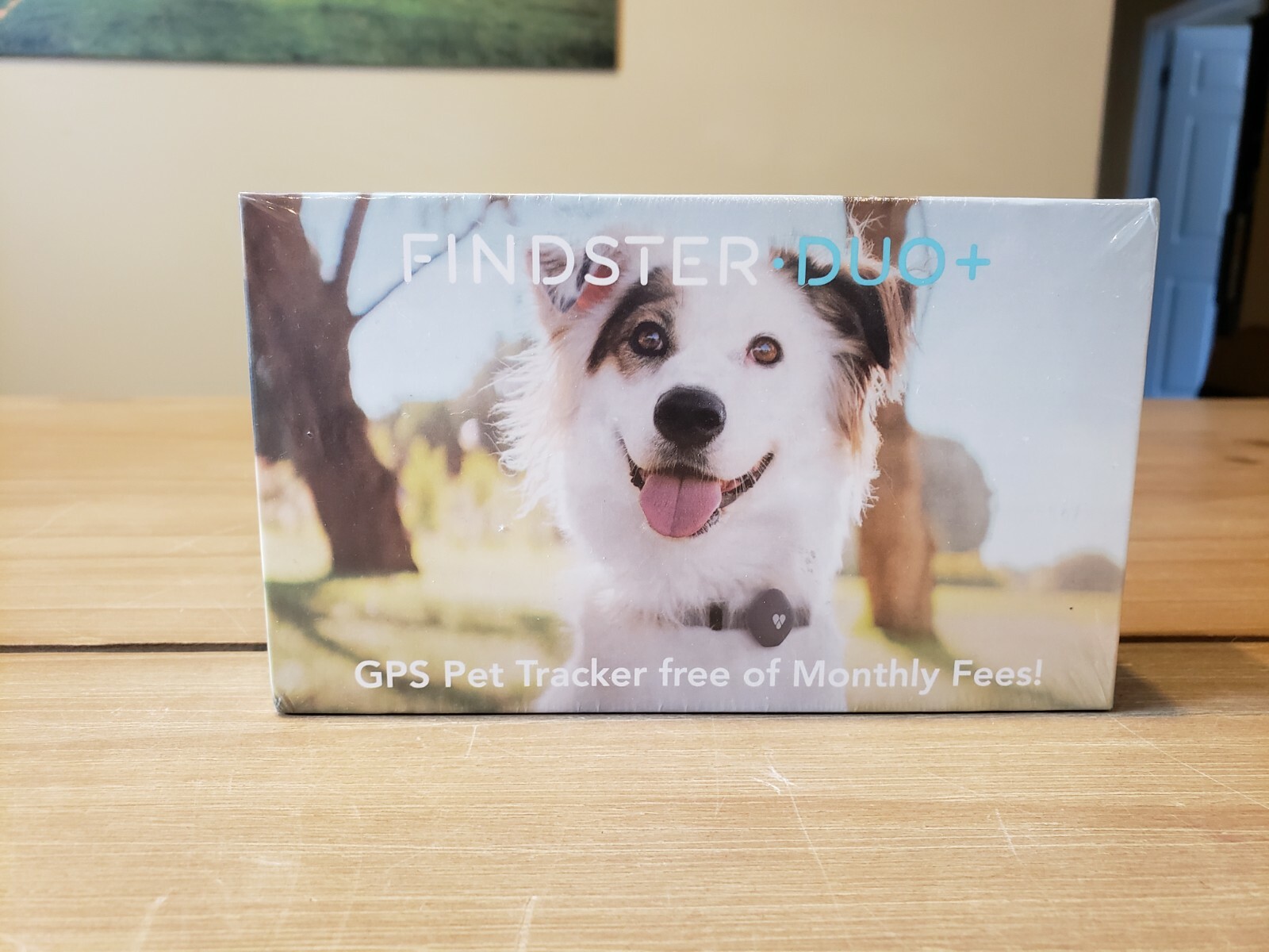 findster duo plus pet tracker