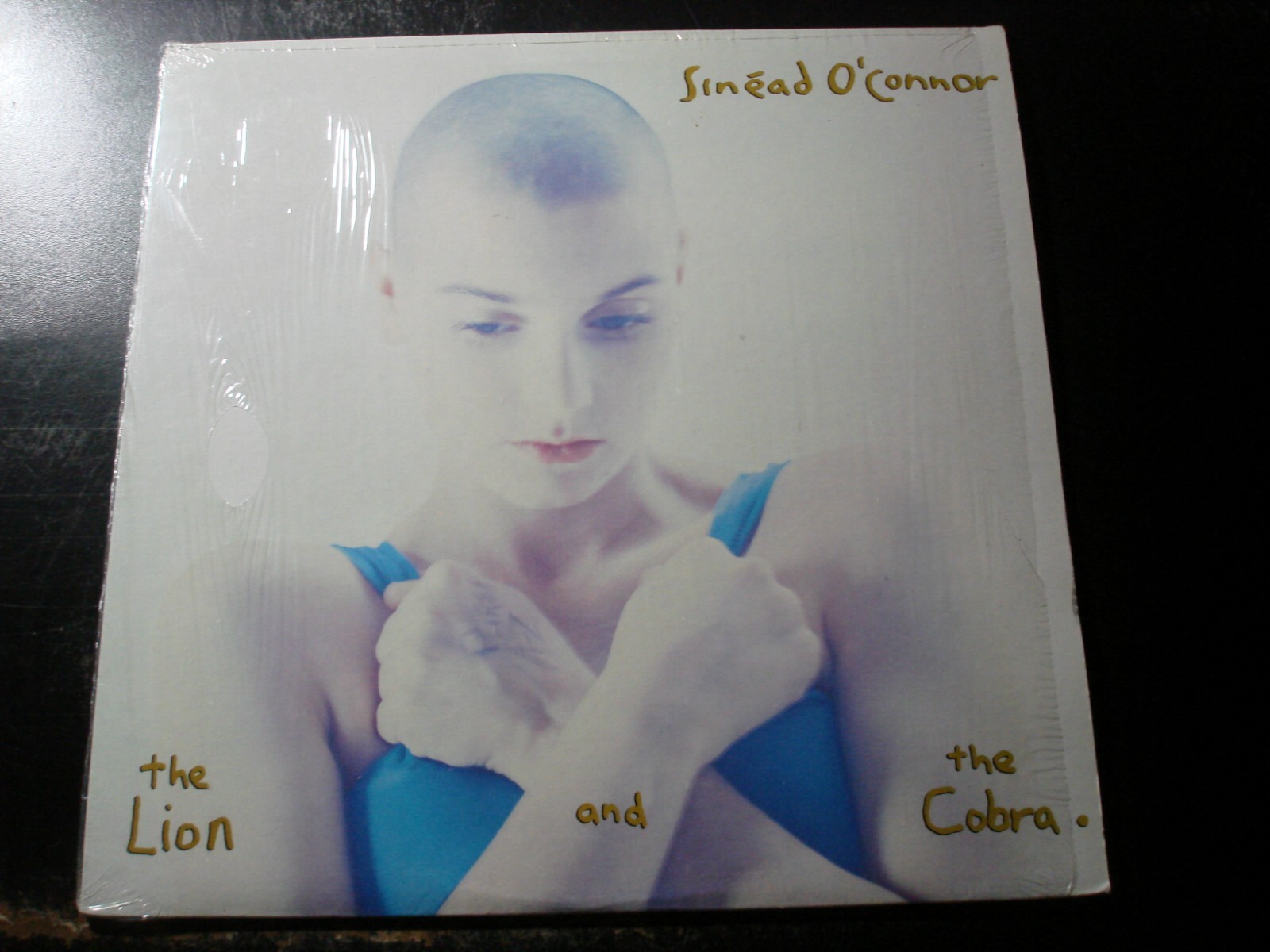 洋楽 Sinead O'Connor - The Lion And The Cobra The Lion and the Cobra - Album by Sinéad O'Connor - Apple Music