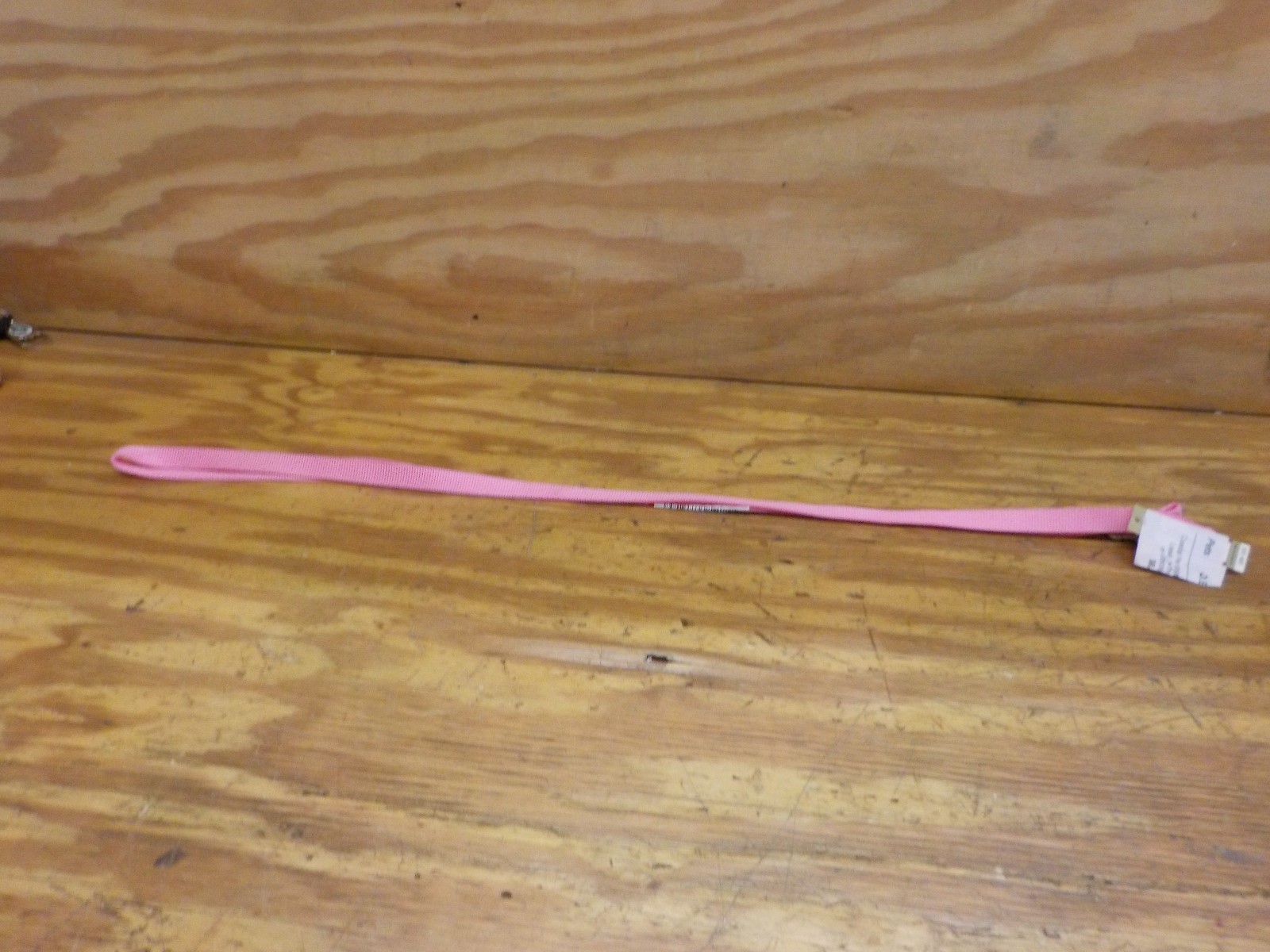 Coastal Pet 00606 B PKB06 Nylon Leash, 3/4 by 6-Foot, Pink