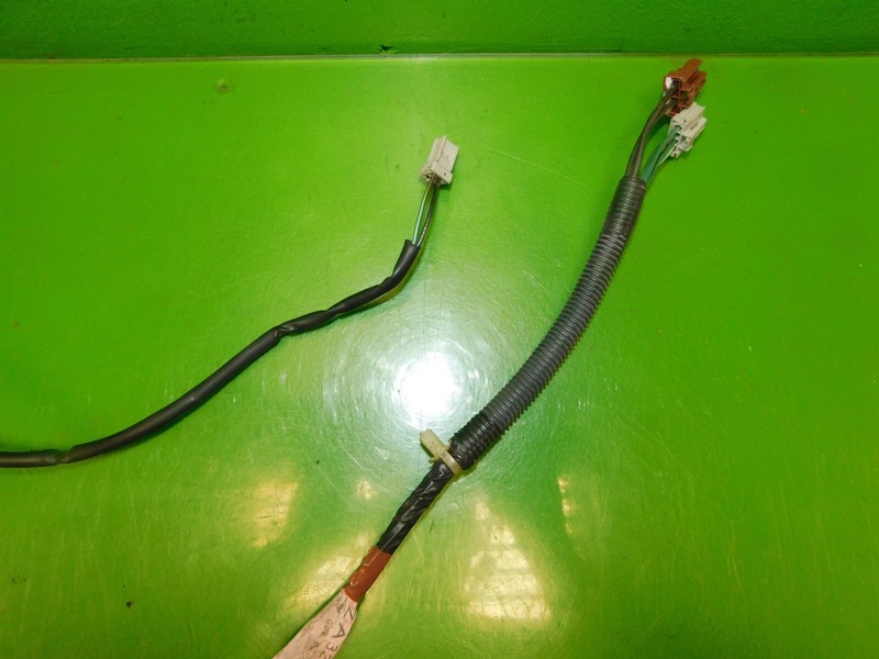 Picture 2