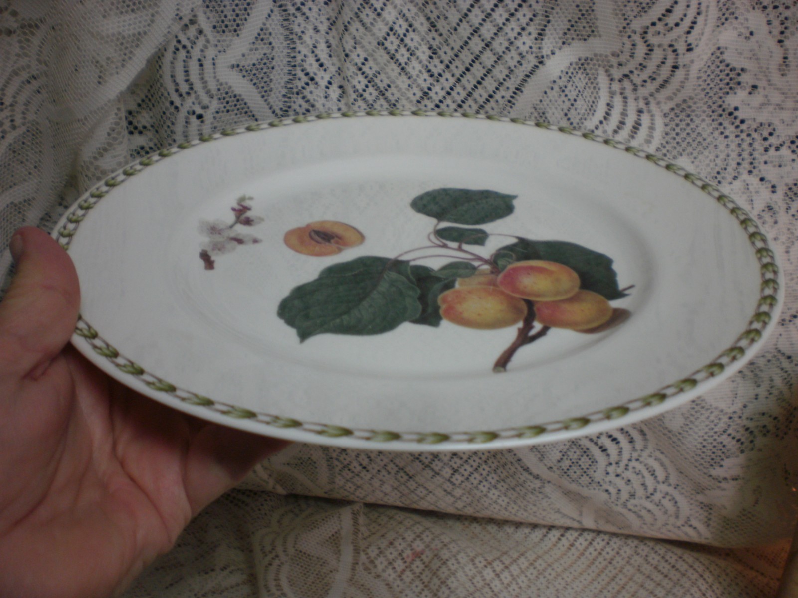 Rosina Queens HOOKER'S FRUIT (BONE CHINA MADE INDIA  ) Apricot Dinner Plate