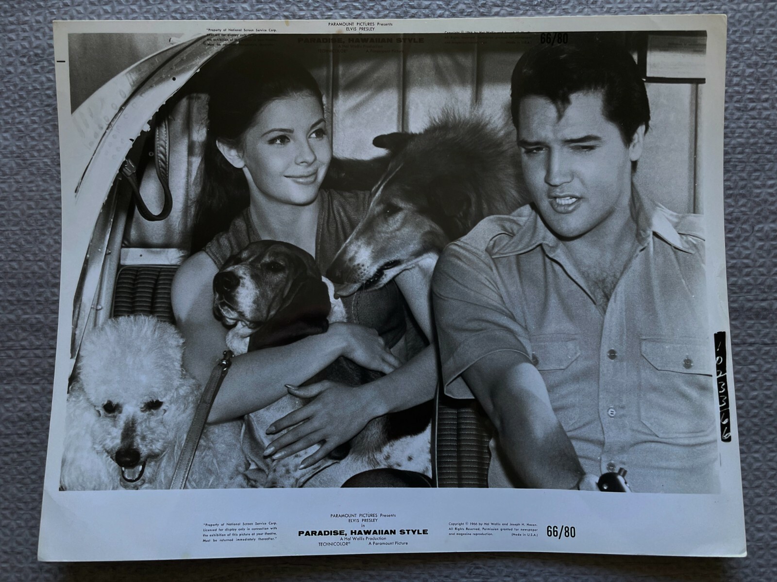 Elvis Presley Paradise, Hawaiian Style 英 Paradise, Hawaiian Style - Wikipedia