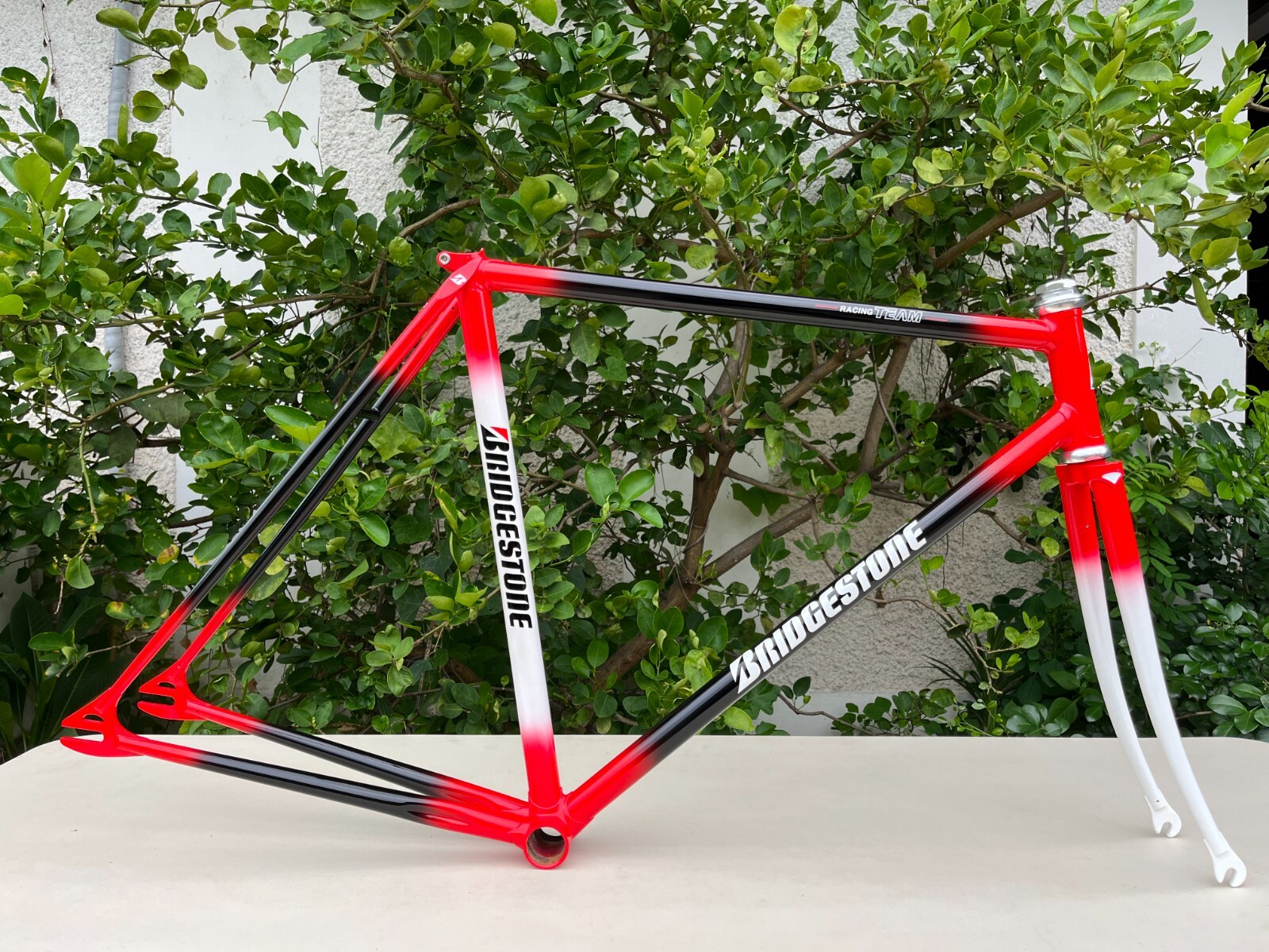 Bridgestone NJS Track Frame / Keirin / Pista / BIA | eBay Bridgestone NJS Track Frame / Keirin / Pista / BIA | eBay