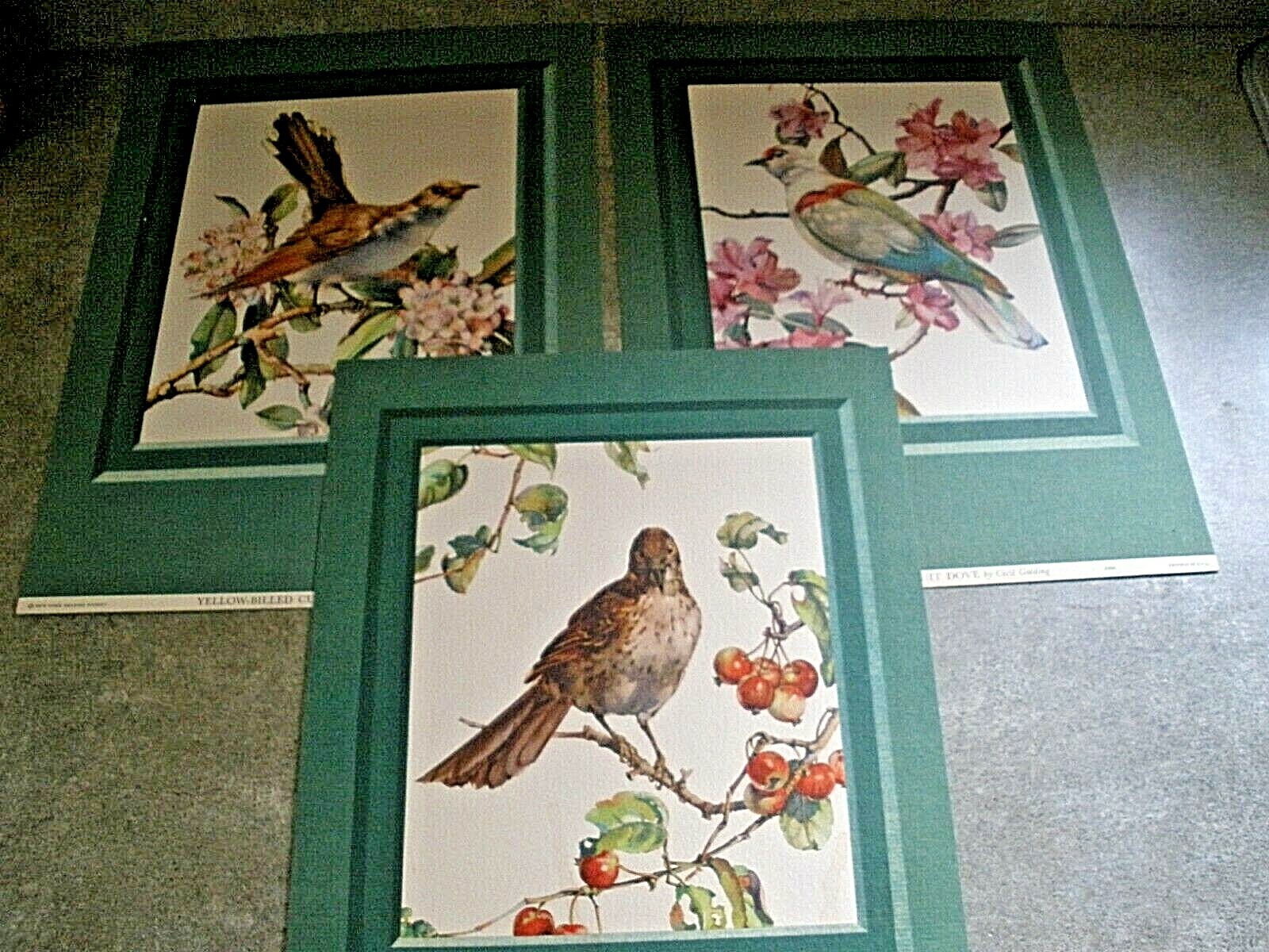 Lot of 3 New York Graphic Society Bird Prints by Cecil