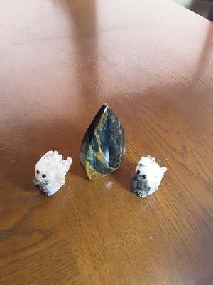 Fotos del artículo de un comprador verificado