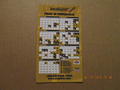 ECHL Pensacola Ice Pilots Vintage Defunct Team Logo Hockey Magnet Schedule