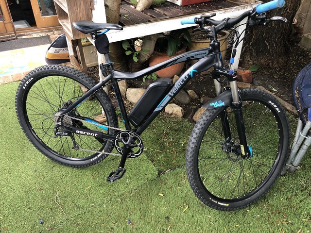 velectrix ascent 29 mtb