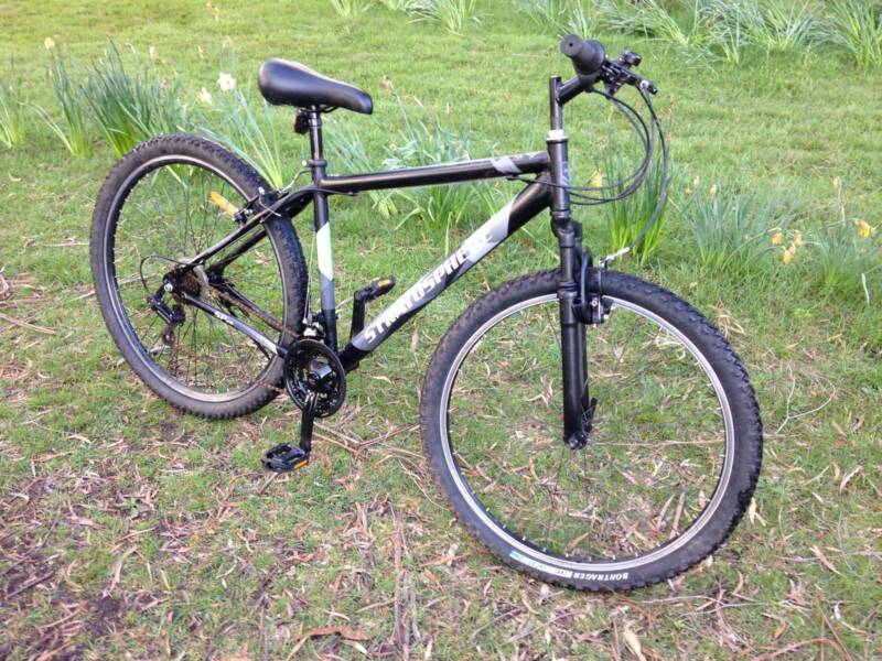 Stratosphere bike sp29 sale