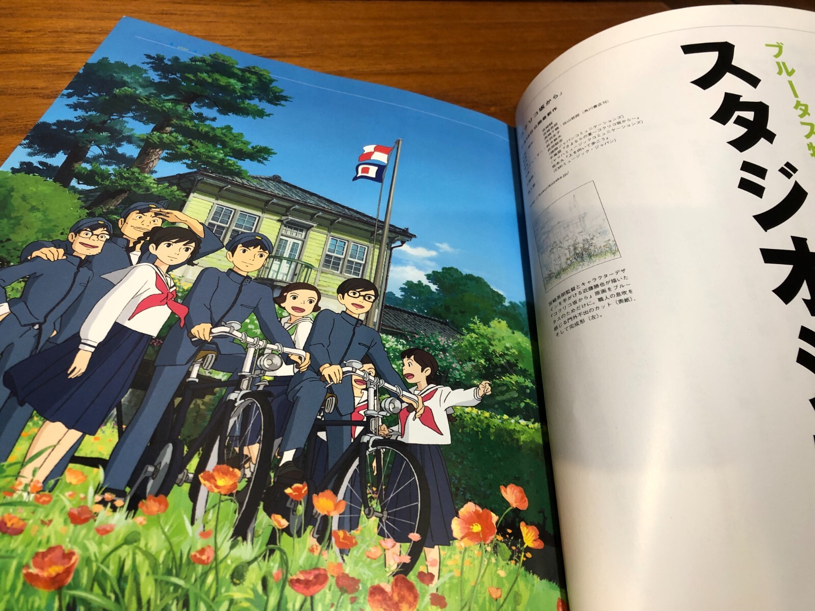 Magazine BRUTUS special edition Studio Ghibli hayao miyazaki Japan Anime Magazine BRUTUS special edition Studio Ghibli hayao miyazaki Japan Anime