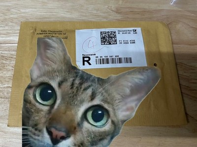 Item photo(s) from verified buyer