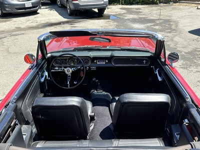 image 1 of interior