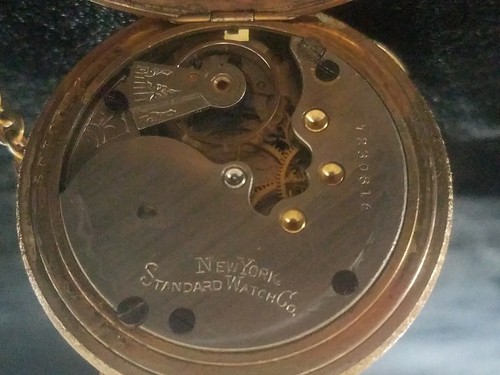 1885 New York Standard ~ Full Hunter Case ~ Works