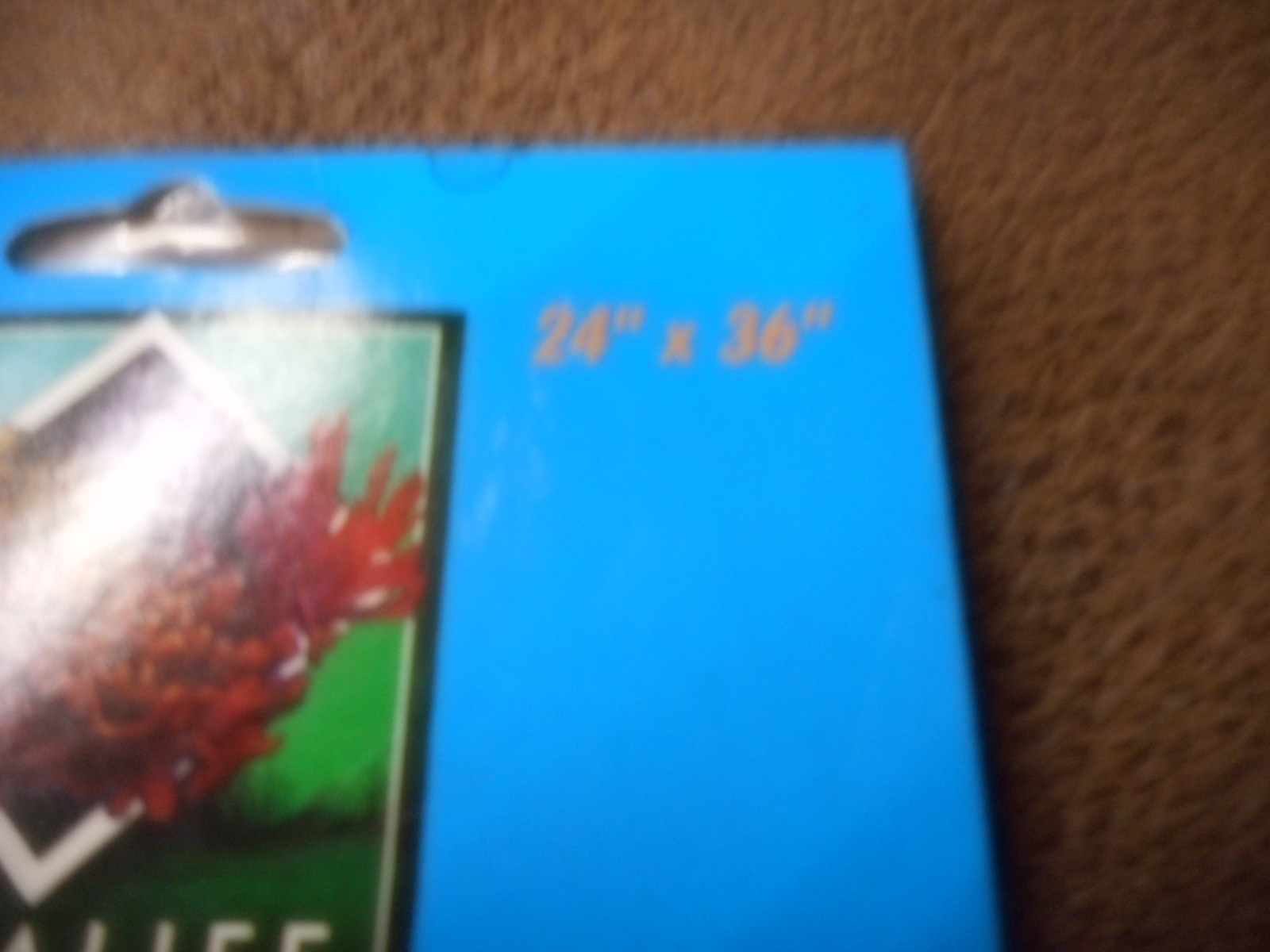 CORALIFE  PUREFLO  24