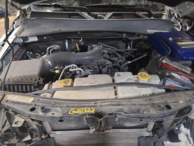 Picture 4