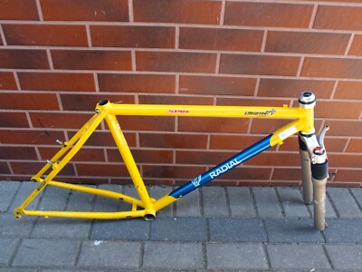 MTB steel frame 18in Ritchey dropouts Tange Prestige? Mavic Rock Shox Scott pro?