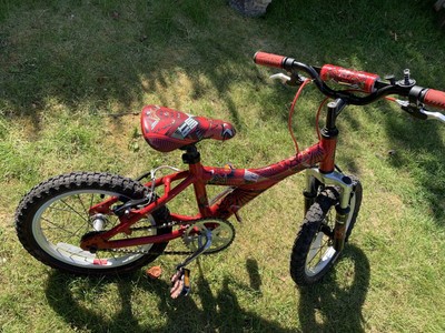 raleigh atom 16 inch