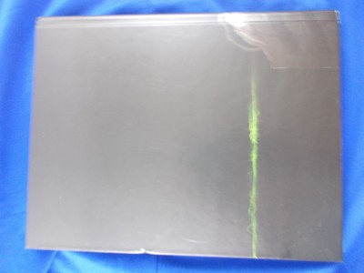 Call of Duty Modern Warfare 3 Limited Edition Strategy Guide Hardcover 350 page