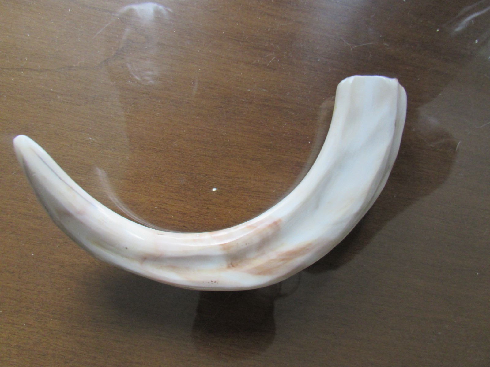 ANTIQUE PIG BOAR TUSK TOOTH - SCRIMSHAW