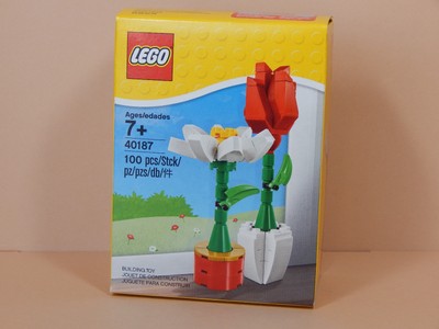 Flower Display LEGO Seasonal Neu /& OVP Blumenpracht 40187 Valentine