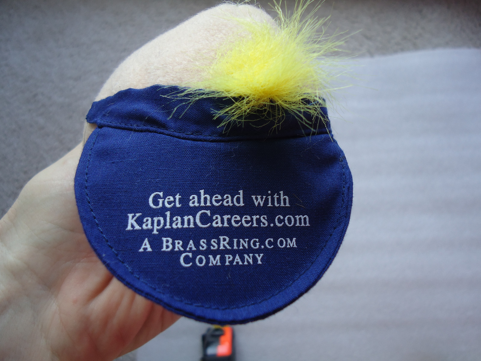 Bean Bag Toy Man's head with Blue Visor - Plays spooky laugh from Kaplan Careers