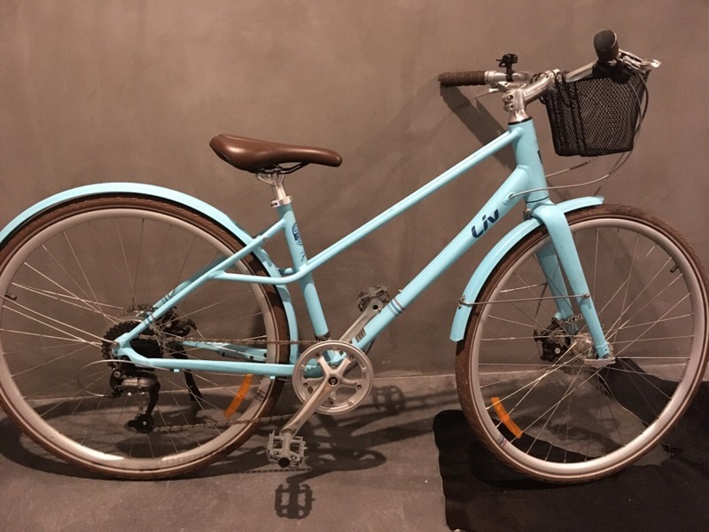 Giant Beliv F Clearance, 54% OFF | www 