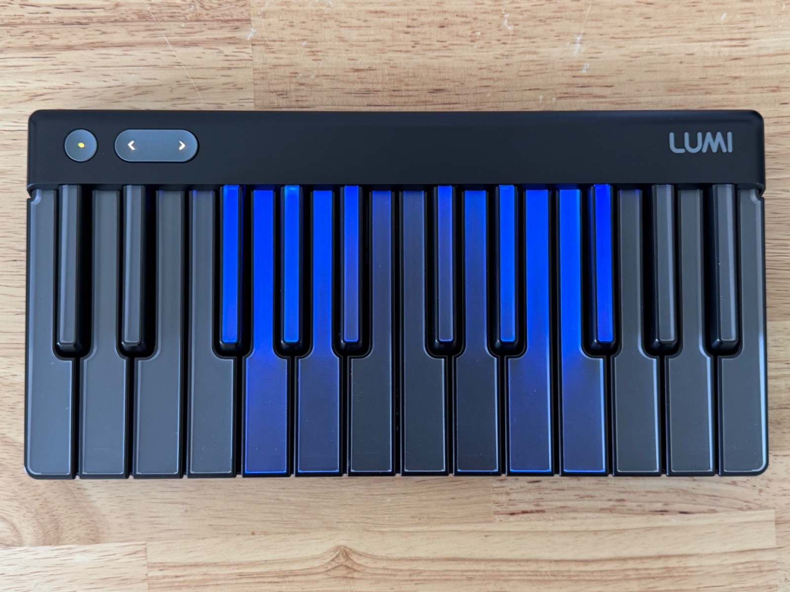 Roli LUMI Keys MIDIキーボード Snapcase付き ROLI Lumi Keys M Piano MIDI Keyboard + Snap Case - Black