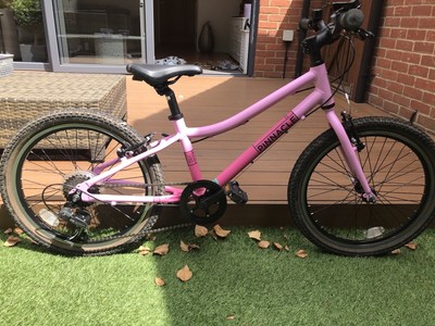 Pinnacle Ash 20 Inch wheels Kids Bike