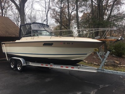 25' Boat with trailer