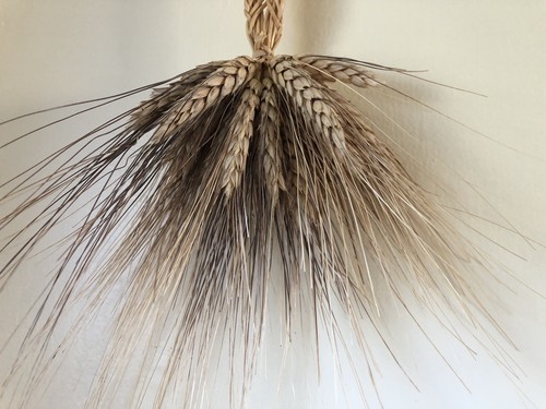 20” Corn Dolly Or Strawstar Handmade