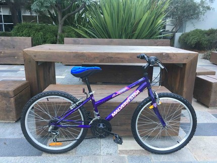 malvern star livewire 24