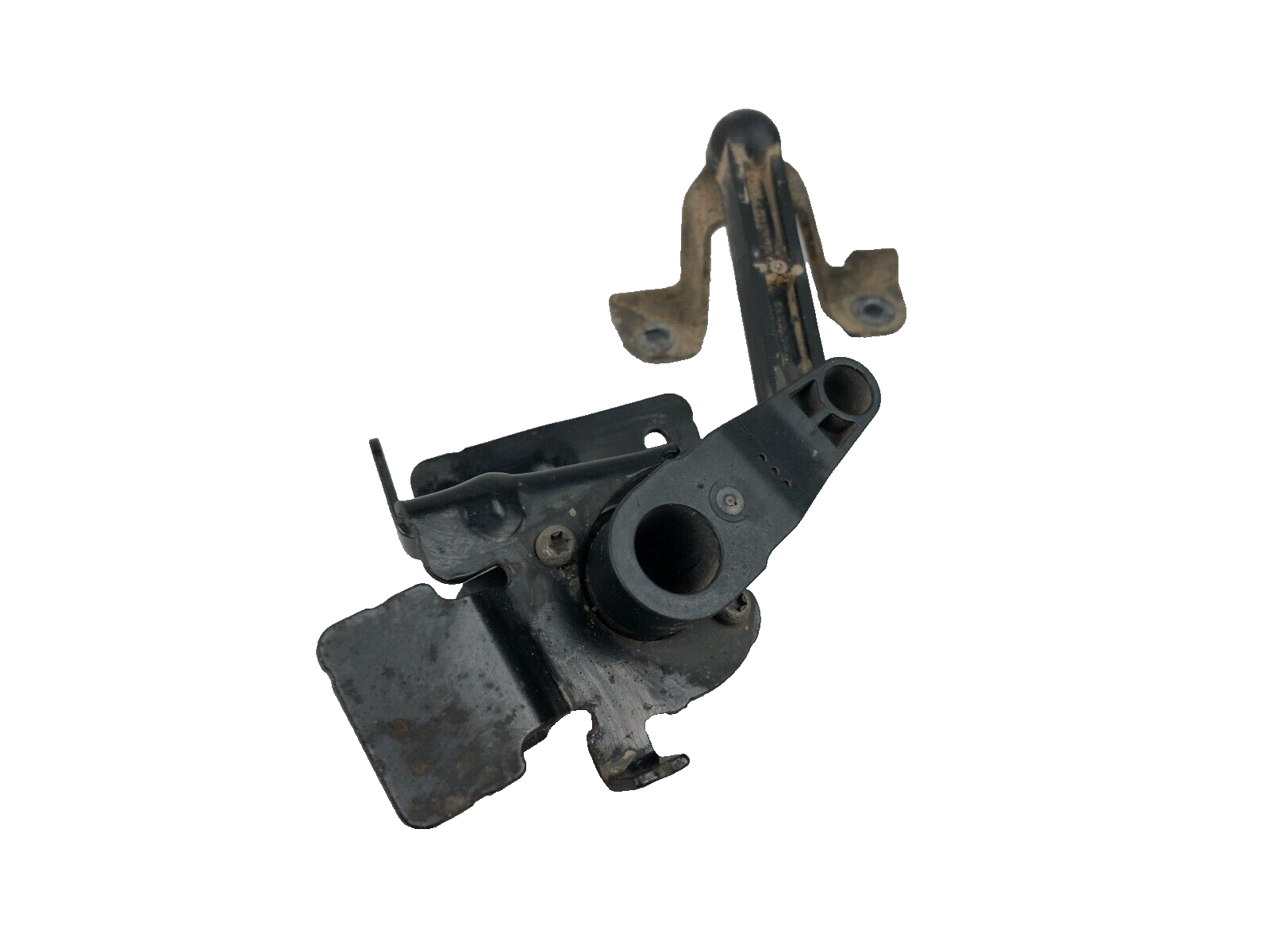 確認用　　M　anew golf Amazon | アニューゴルフ ANEW GOLF カラフルボールマーカー