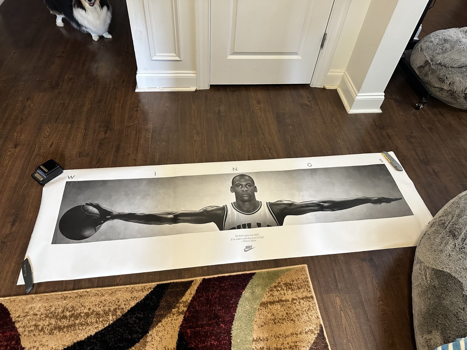 Vintage Original 1st issue 1989 Michael Jordan Nike “Wings