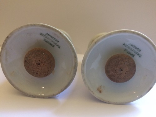 Old Bavaria Tirschenreuth Salt  Pepper Shakers Germany Tiny Flowers Porcelain