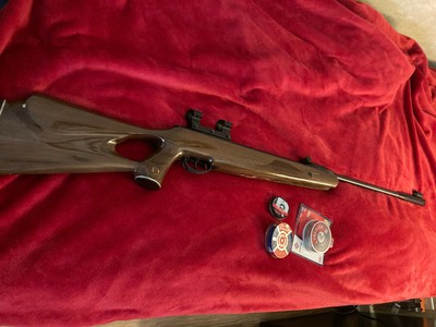Review Of Benjamin 392 Air Rifle Air Rifle Hunter