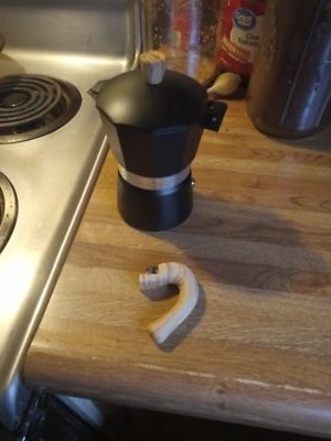 Fotos del artículo de un comprador verificado