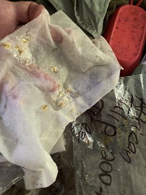 Fotos del artículo de un comprador verificado