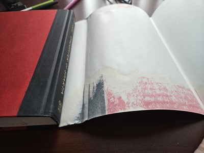 Foto dell'oggetto di un acquirente verificato