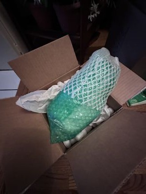 Item photo(s) from verified buyer