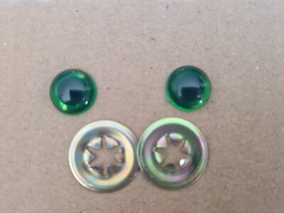 Yeux verts d'OURS (O-1)