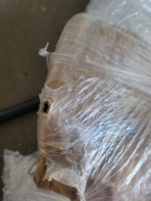 Item photo(s) from verified buyer