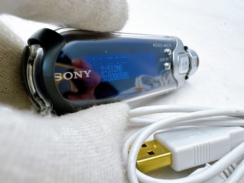 Sony NW-E405 Network Walkman 512 MB Digital Music Player