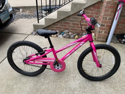 paw patrol skye 30cm bike with handle