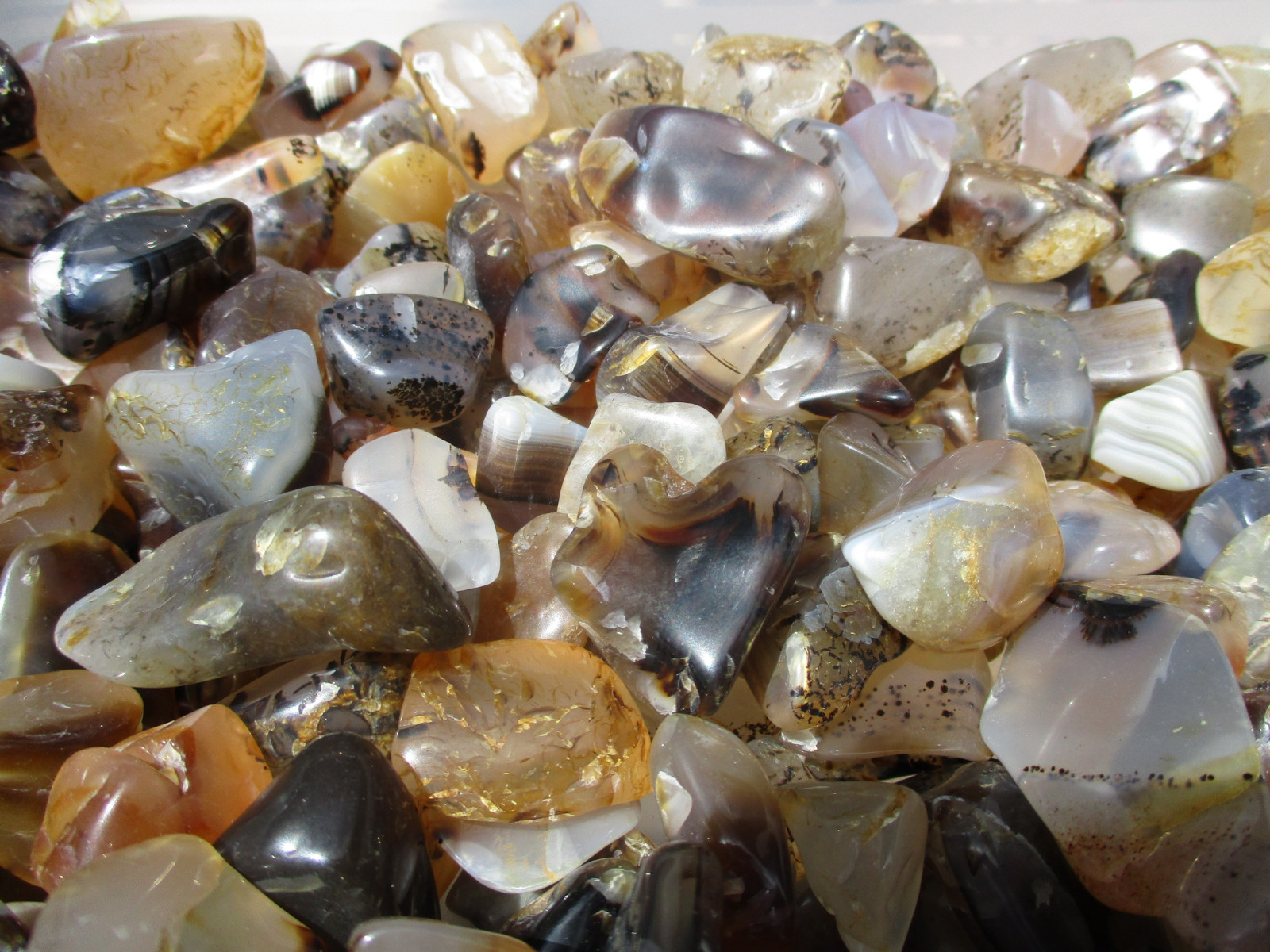 4 1/2 pounds of polished semi precious stones mostly montana agate (c)